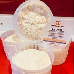 Ricotta